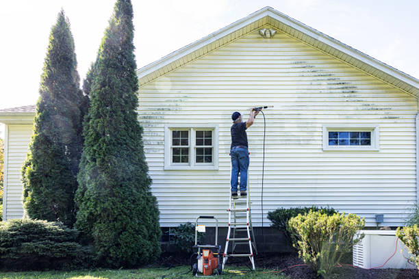 Best Sidewalk and Walkway Pressure Cleaning in St Jaco, IL